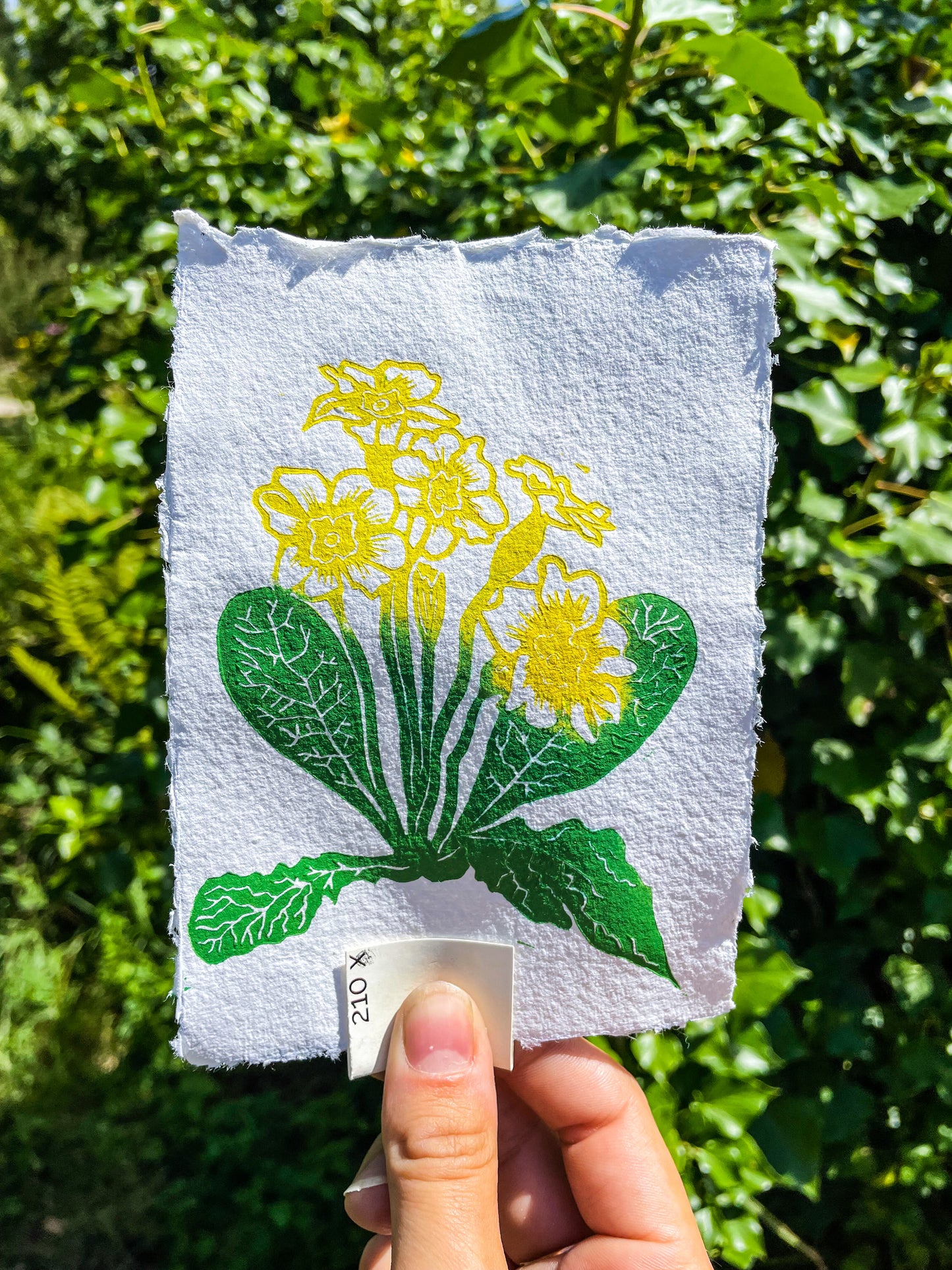 Handprinted Primrose