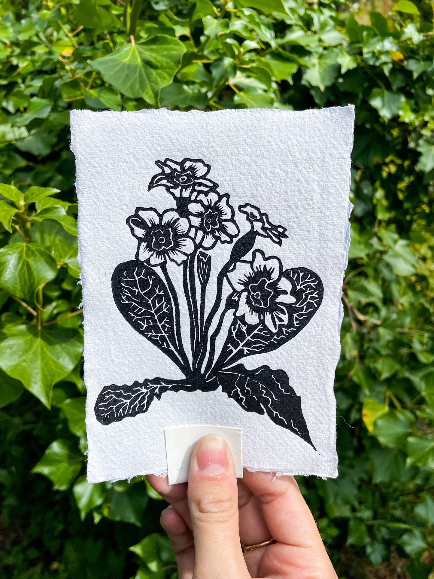 Handprinted Primrose