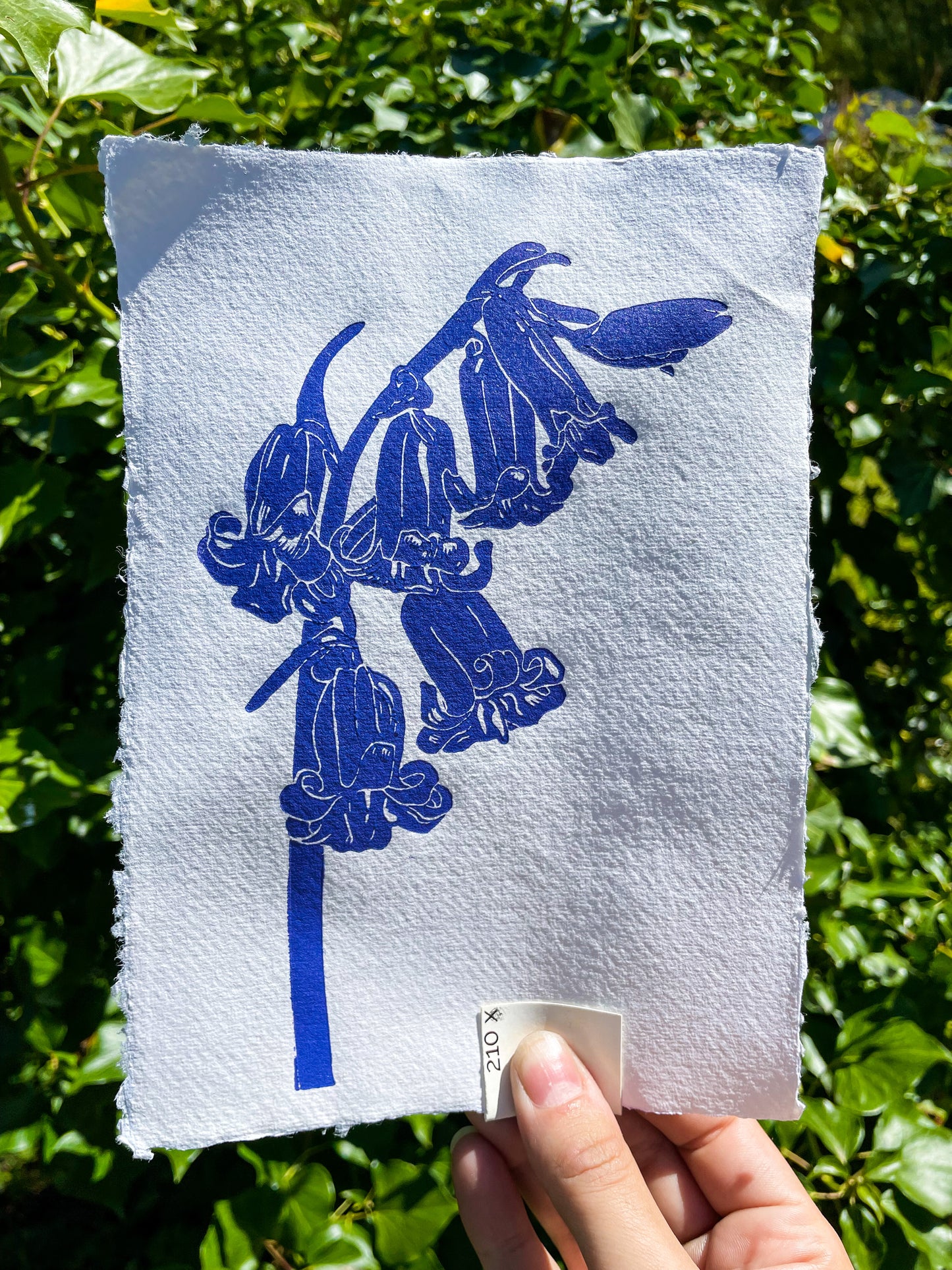 Handprinted Bluebell